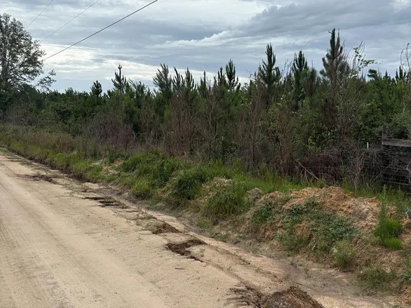 111 Otis Shaw Rd, Ray City, GA 31645