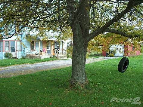 Old fashioned tire swing adds character.