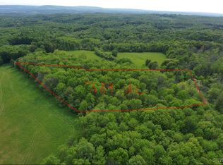 0 Lynch Rd #1, Newport, NY 13416