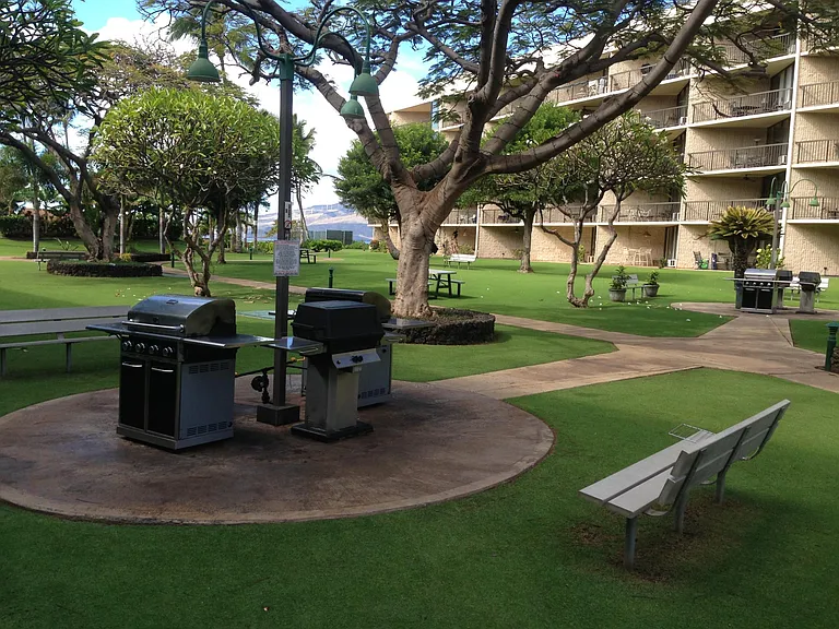 Free gas BBQs ! Cleaned meticulously every morning