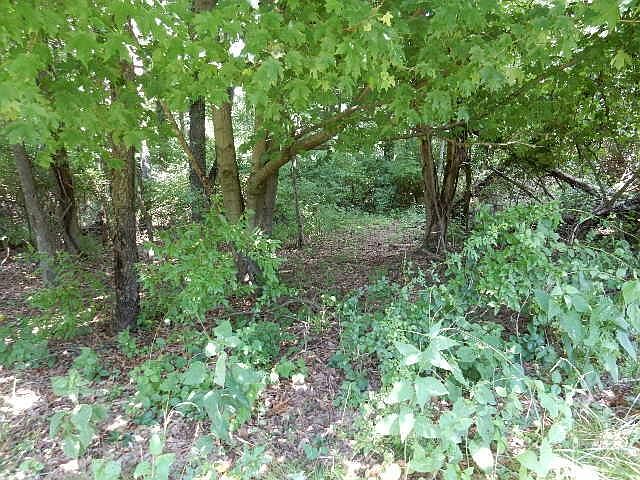 1st image of 0 McIntosh Dr Lot 460