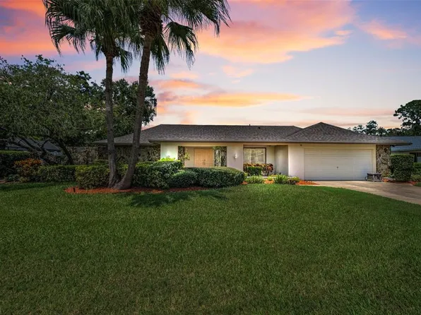 3105 Wesson Way, Tampa, FL 33618