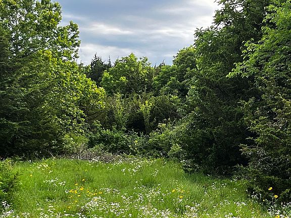 3rd image of 180 Nevada Rd