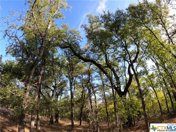 Rosanky Rd Tract 8, Holland, TX 76534