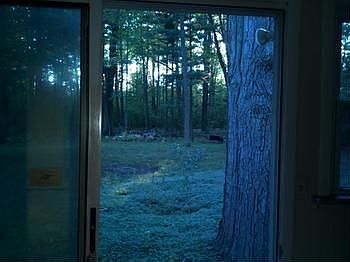 view of backyard from master bedroom.