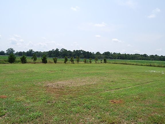 Large backyard, fully fenced