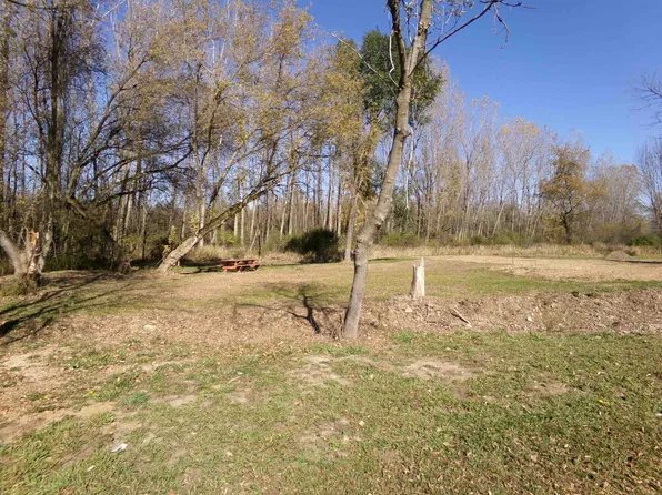 E Main St Lot C, Maple Rapids, MI 48853
