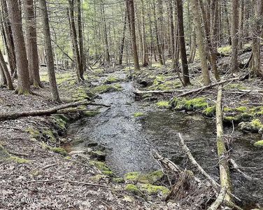 LOT 51015 Rowland Rd, Greeley, PA, 18425
