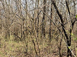 4th image of 0 Cattail Rd