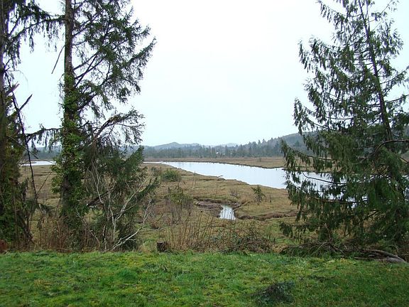 View of the Willapa River from backyard.