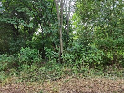 0 Lark St LOT 9, Bedford, VA, 24523