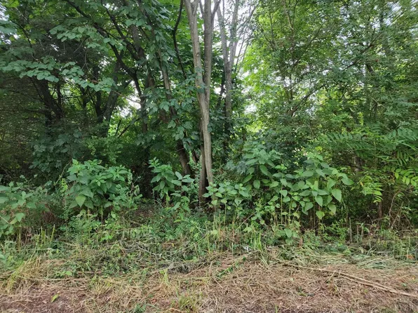0 Lark St Lot 9, Bedford, VA 24523