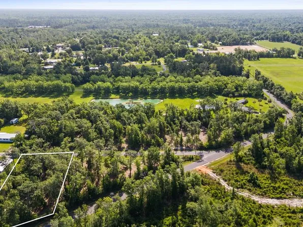 Old Dairy Farm Rd, Wewahitchka, FL 32465