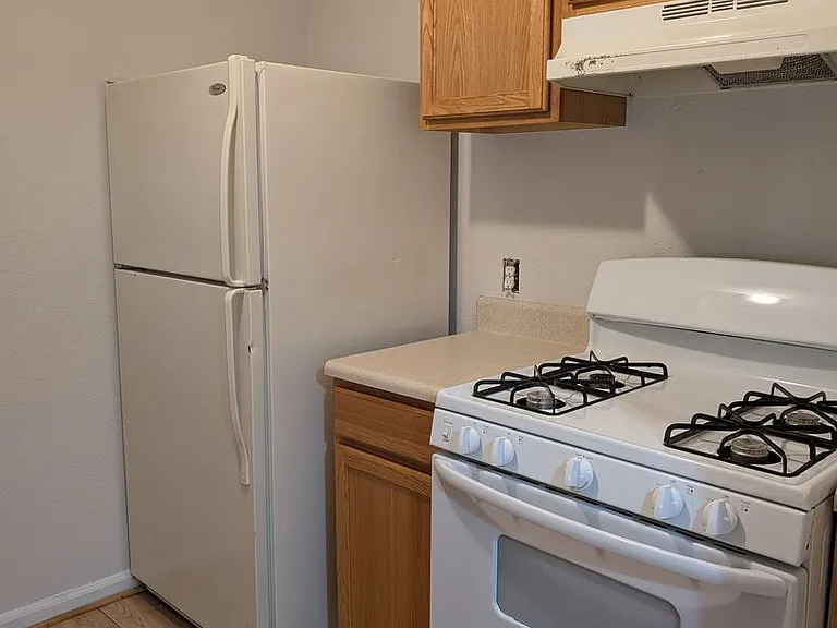 317 Mabry St #1124 — Photo 7