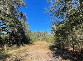 168th Ter, Wellborn, FL 32094