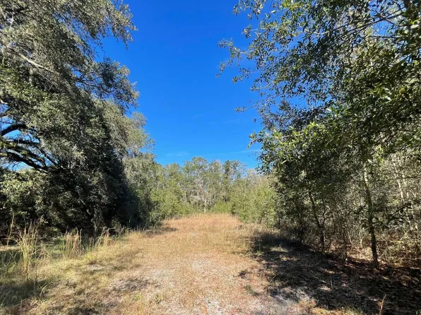 168th Ter, Wellborn, FL 32094