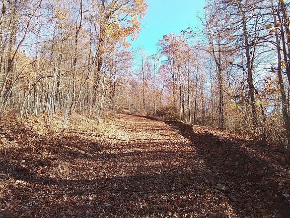 2nd image of 1500 Bear Mountain Rd