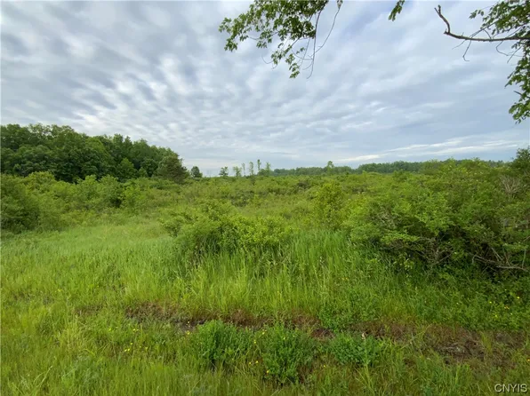 LOT 4 Hart Rd Lot 4, La Fargeville, NY 13656