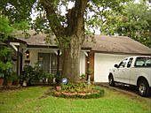 5th image of 1127 Wisterwood Dr
