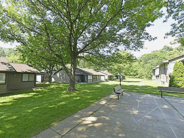 Courtyard with Shade Trees