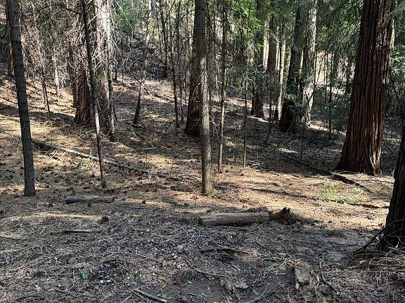 2nd image of Caine Rd