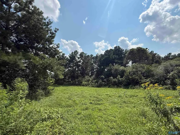 898 County Road 391, Geraldine, AL 35974