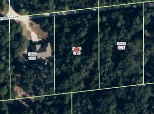 11586 E Springs Ln, Floral City, FL 34436