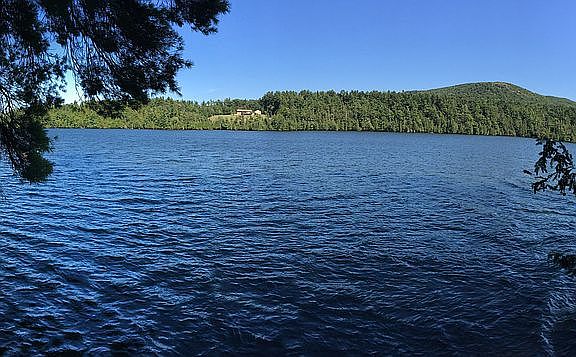 Shoreline View 