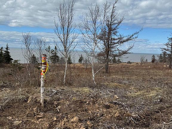4th image of LOT 8B Shore Rd W