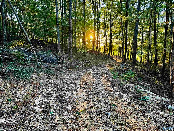 4th image of 6.5 Butler Mill Rd