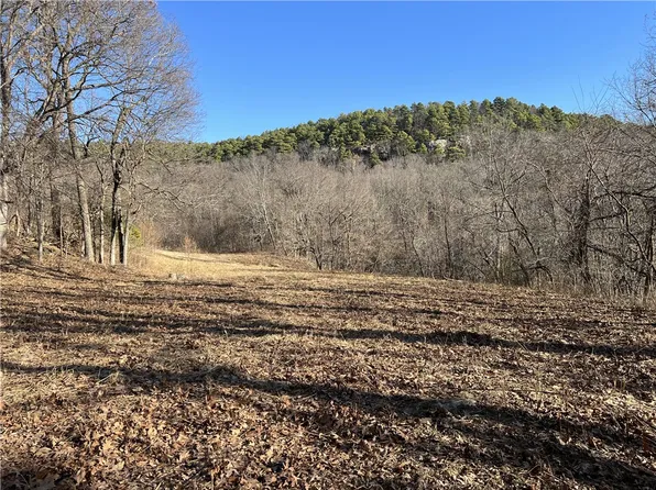 Terrapin Rd, Harrison, AR 72601