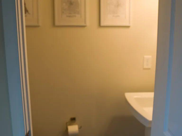 Half Bath Downstairs
