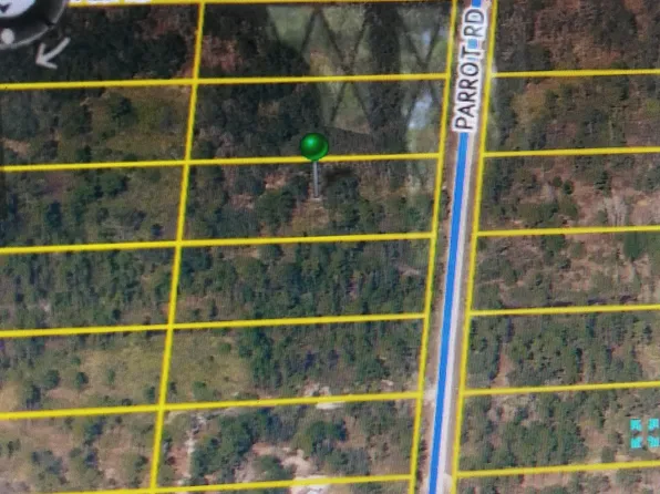 0 Parrot Rd, Brooksville, FL 34614