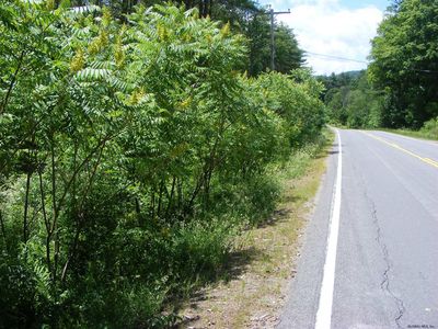 L13 County Hwy 123, Mayfield, NY, 12117