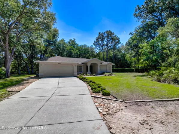 10525 Yellowlegs Ave, Weeki Wachee, FL 34614