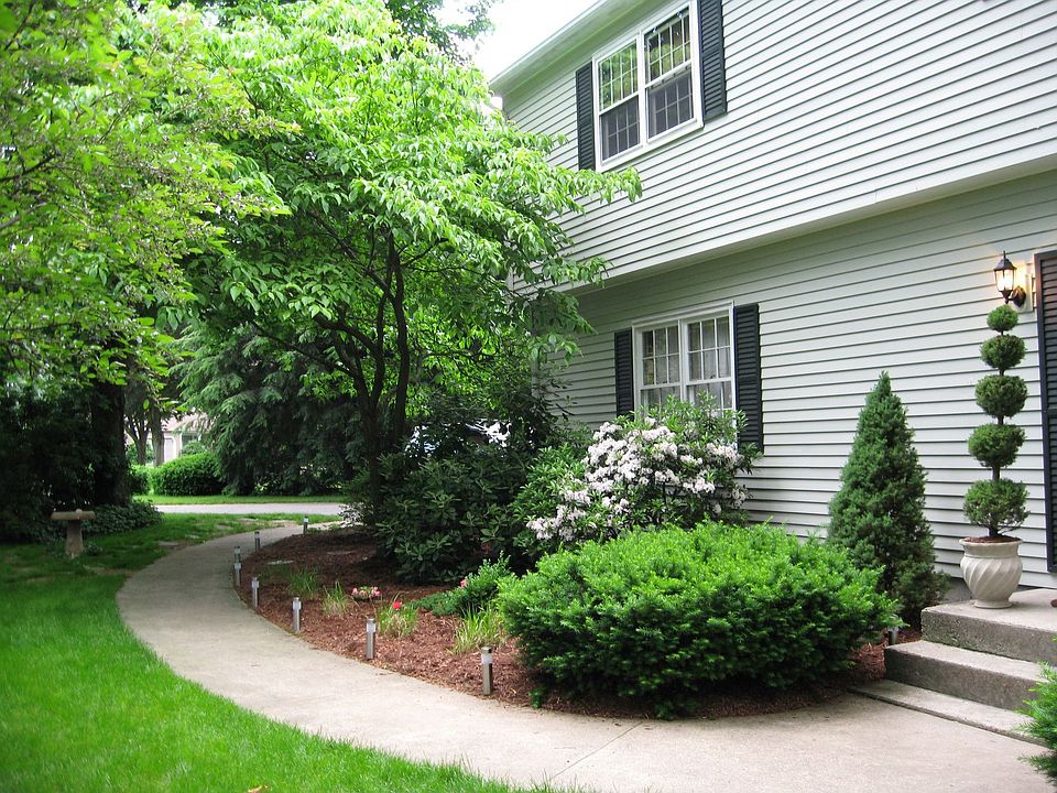 Well Maintained Yard