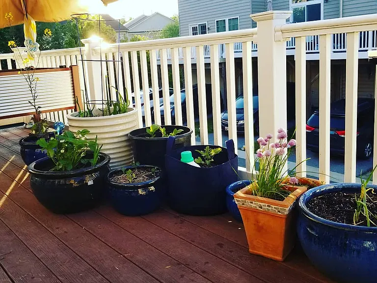 12ft by 20ft deck perfect for lounging, gardening, or grilling.