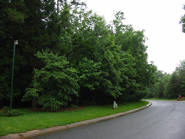 Street view of lot
