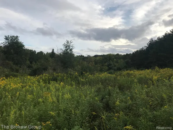 0 S Mountain View Estate Ests, Leonard, MI 48367