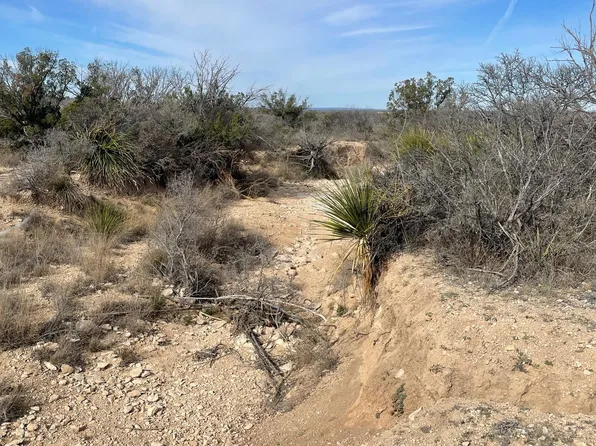 0 Rinconcito #1, Comstock, TX 78837