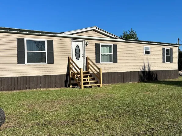9154 Crooked Run Rd, Adrian, GA 31002