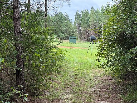 4th image of 401 County Road 2401