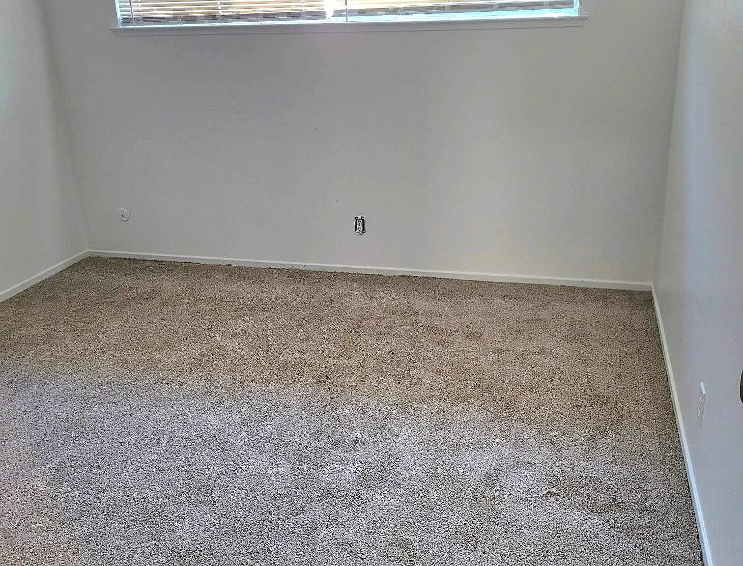 9024 Montoya St — Photo 4