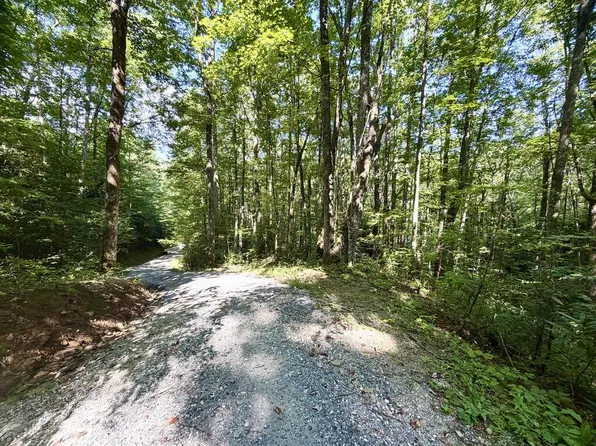0 State Route 1240 Sawyers Creek Rd, Robbinsville, NC 28771