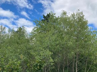 Near Brown Rd #11, Tomahawk, WI 54487