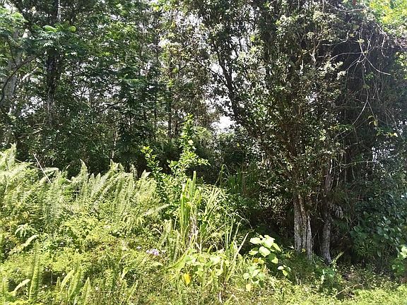 4th image of Iao St Lot 26