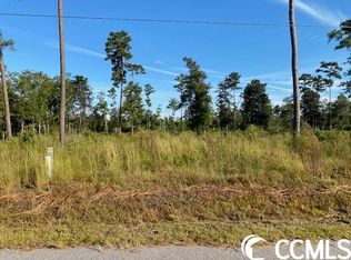 Huckleberry Ln LOT 4, Conway, SC 29526