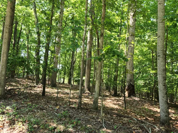 0 Otter Dr Lot 49, Ferrum, VA 24088