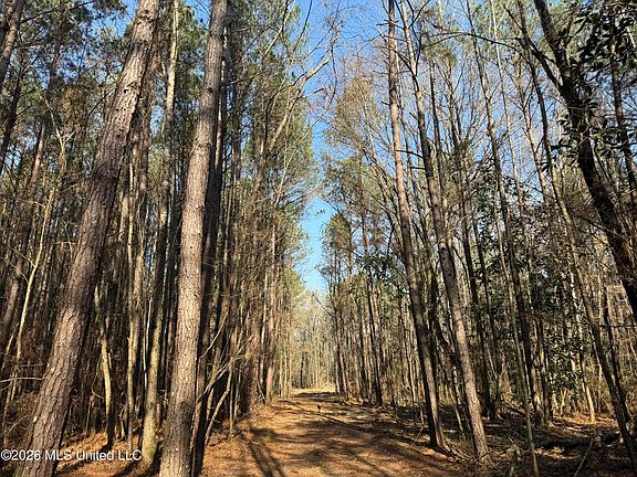 3rd image of Railroad Ln