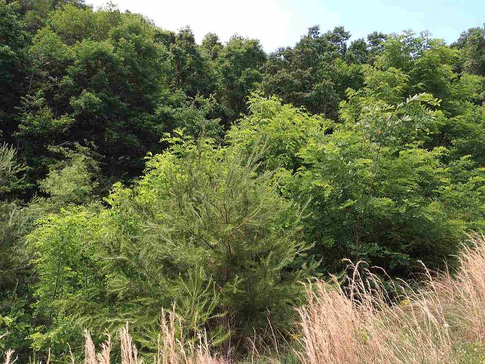 2nd image of 9049 Paradise View Dr